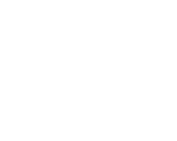 icon10